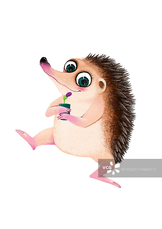 背景分离动物系列组图共3000多幅-跳舞的刺猬图片素材