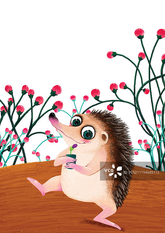 背景分离动物系列组图共3000多幅-跳舞的刺猬图片素材