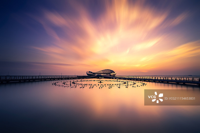 丹凤朝阳图片素材