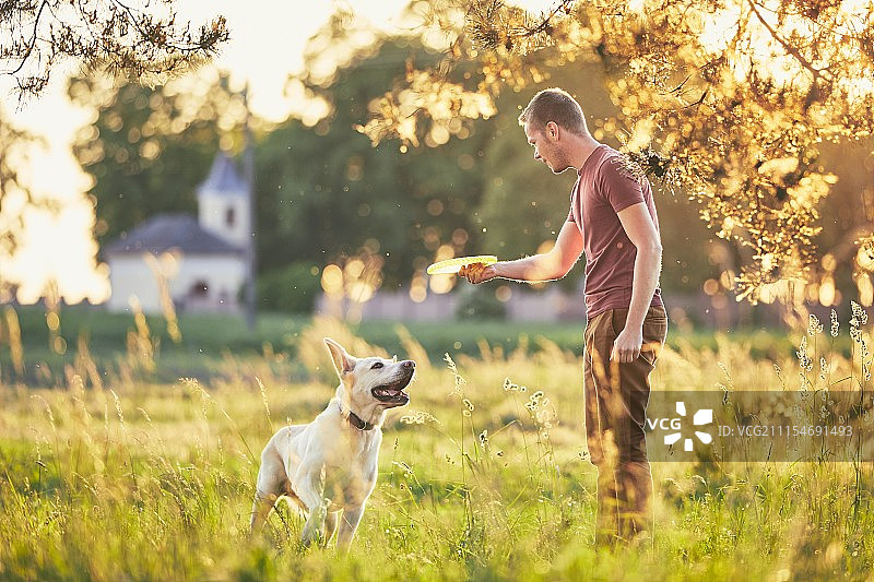 日落时和他的狗在一起的男人图片素材