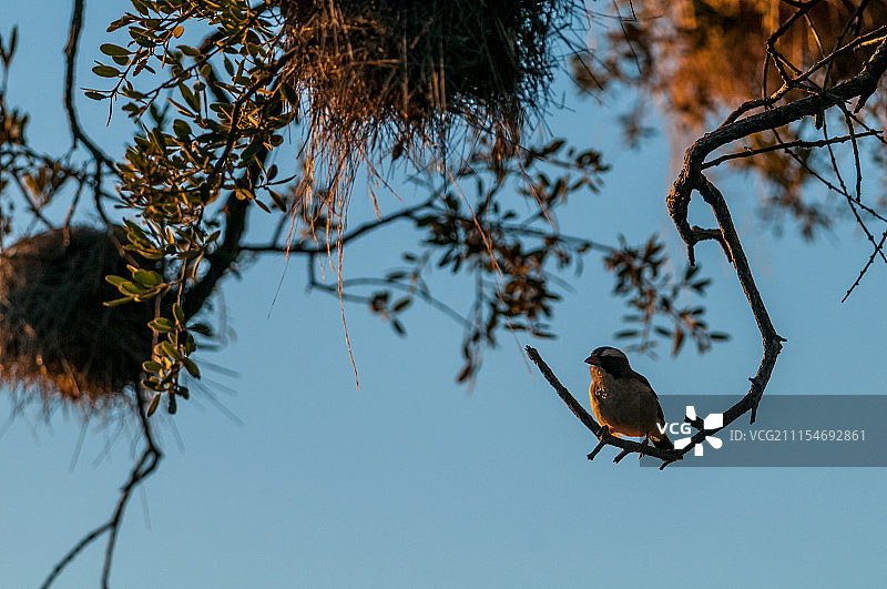 F+MW05082009-7390.jpg图片素材