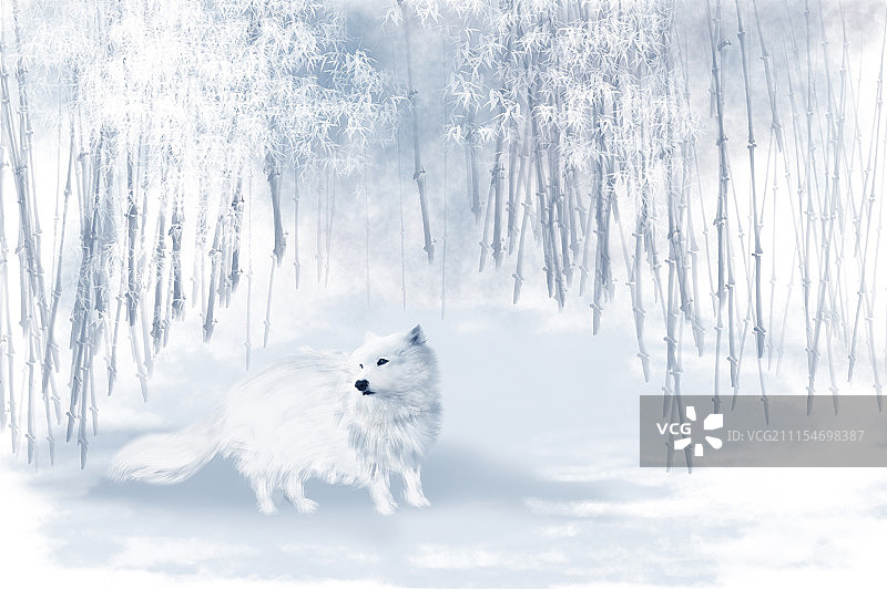 一只白狼站在竹林中图片素材