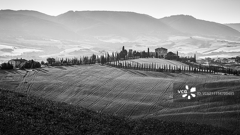 在山丘上图片素材