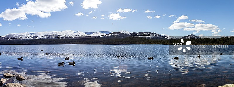 莫里奇湖全景图片素材