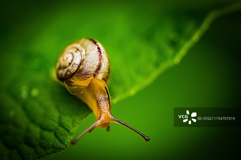 “阳光”图片素材