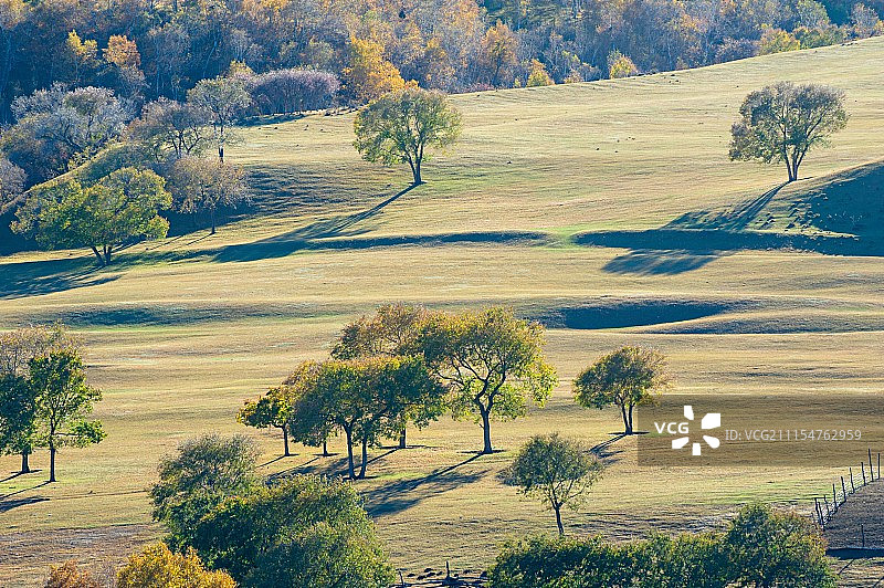 秋天的坝上草原风光图片素材