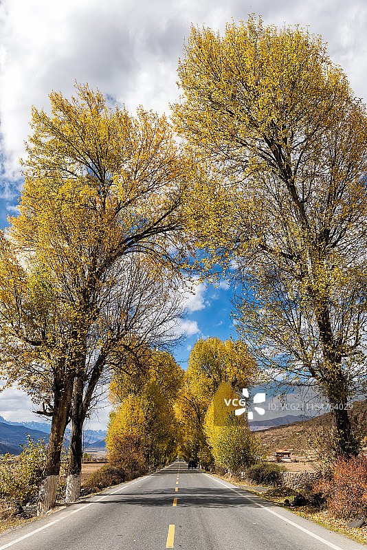 川西高原新都桥贡嘎风光图片素材