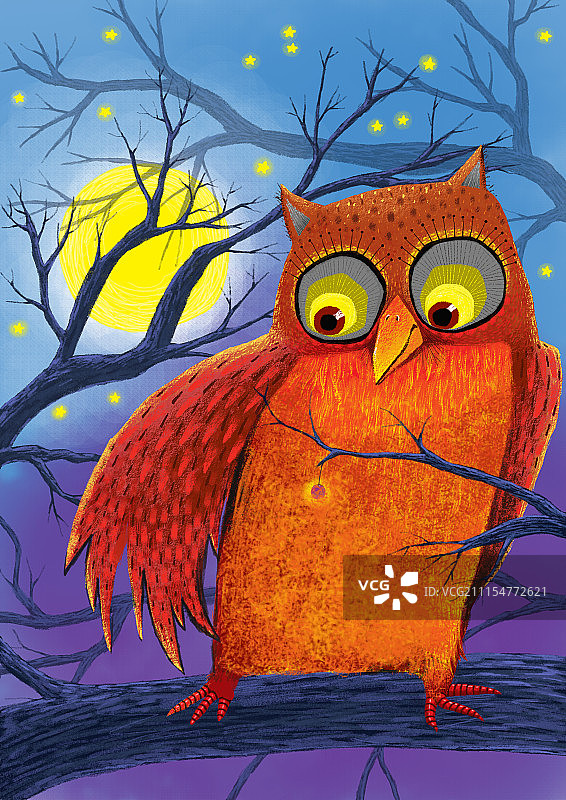 动物插画系列作品共3000幅-树林里的猫头鹰图片素材