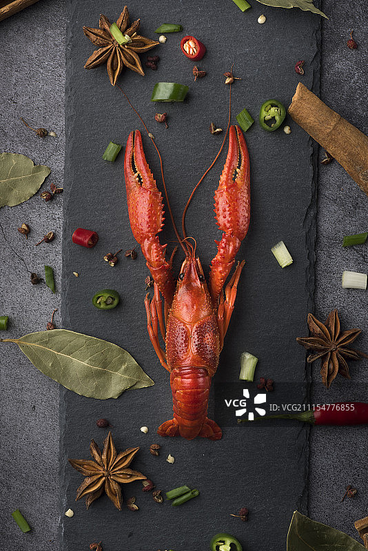 小龙虾图片素材