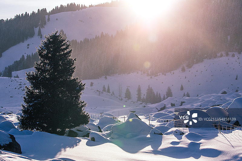 冬季巩乃斯图片素材