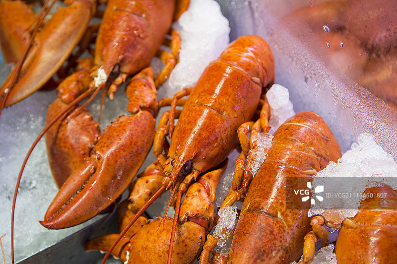 鱼市场里的龙虾图片素材