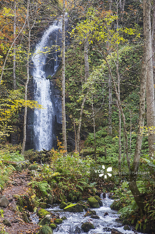 日本奥入濑溪的小瀑布图片素材