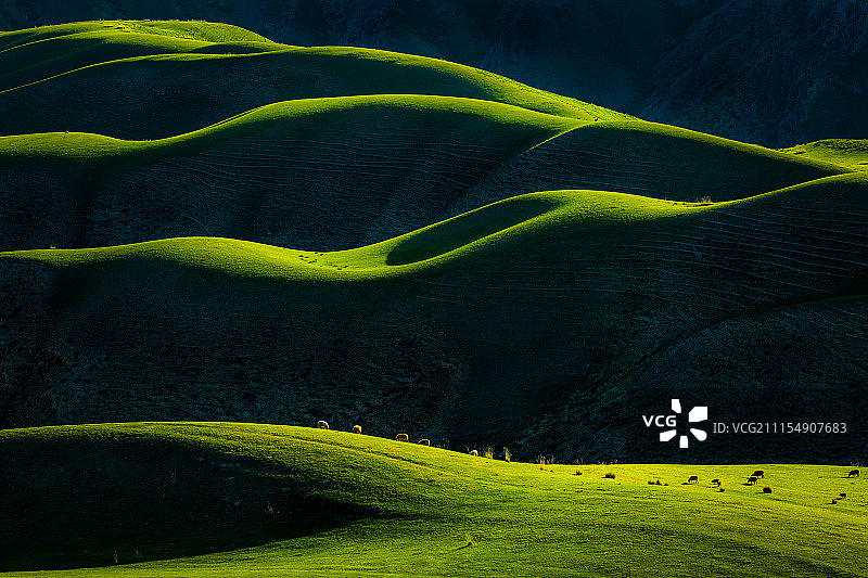 人体草原图片素材