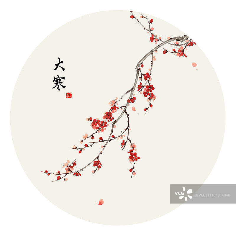 大寒。梅花图片素材