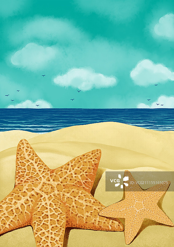 唯美背景元素组图共3000多幅-海岸上的海星图片素材