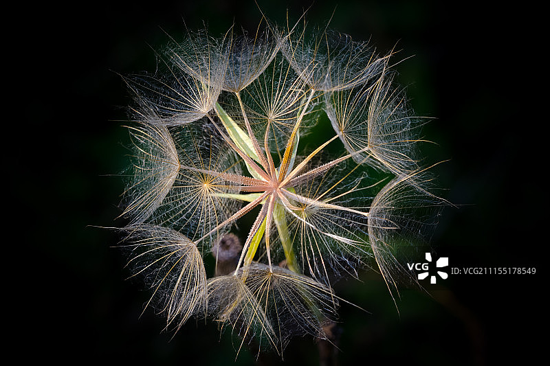 奥地利巴德德意志-阿尔滕堡图片素材