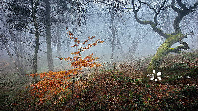 冬天的结束图片素材