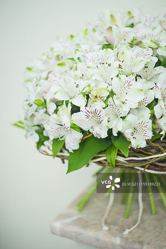 一束白色六出花图片素材