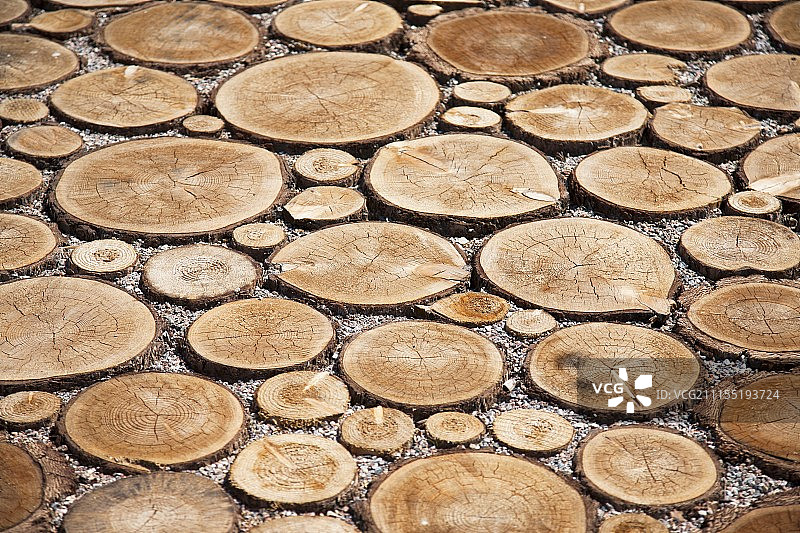 爱沙尼亚公路博物馆木板路细节图片素材