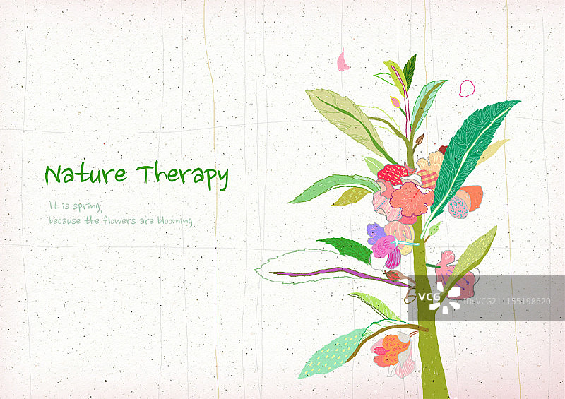 彩色花卉插画图片素材