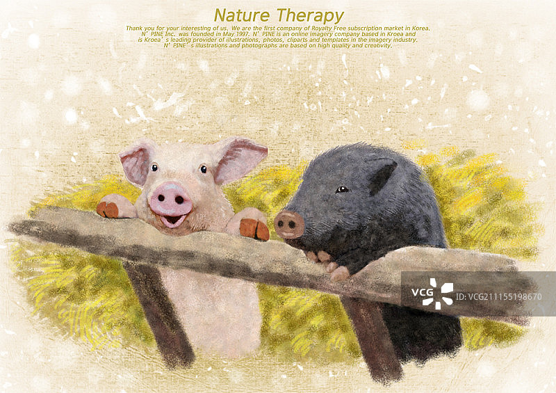 手绘动物插画图片素材