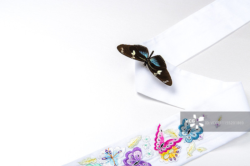 停留在韩国传统服装韩服上的蝴蝶摄影图片素材