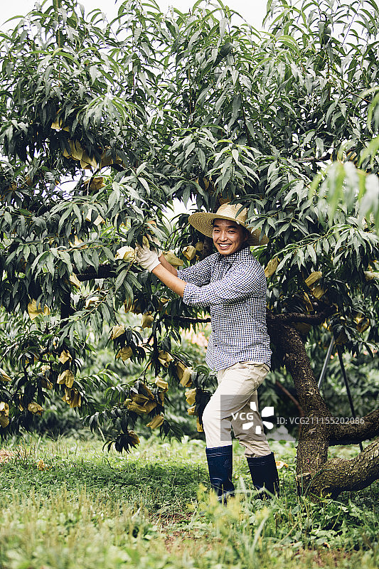 男人在农场工作照片图片素材