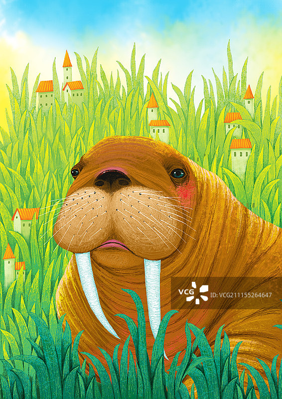 动物插画系列作品共3000幅-草丛你的海象图片素材