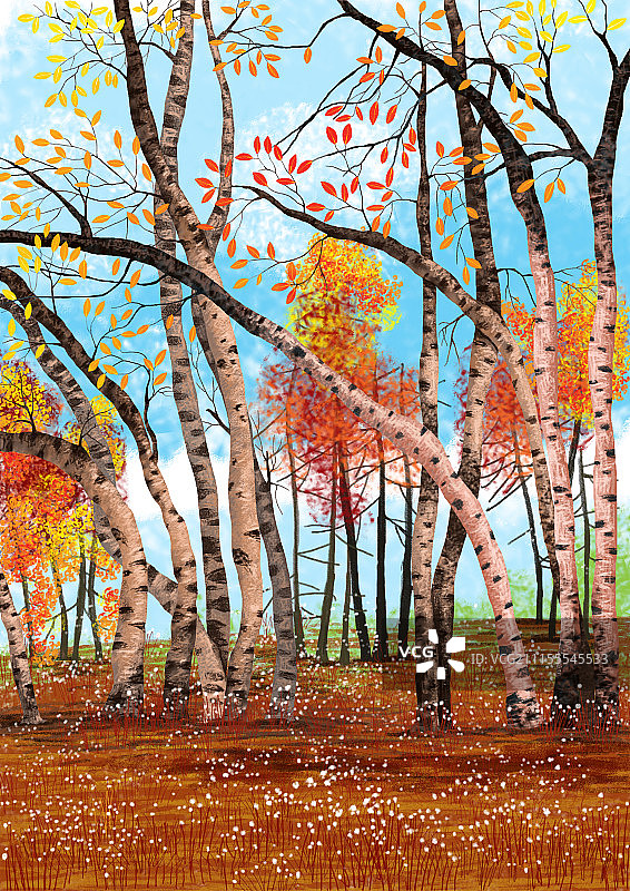 唯美背景元素组图共3000多幅-白桦林图片素材