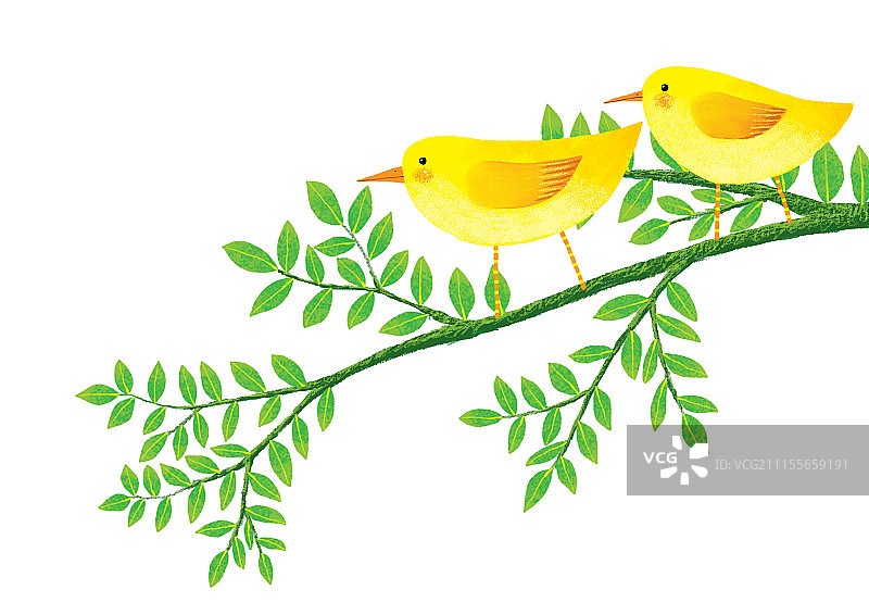 动物插画系列作品共3000幅-树枝上的两只鸟图片素材