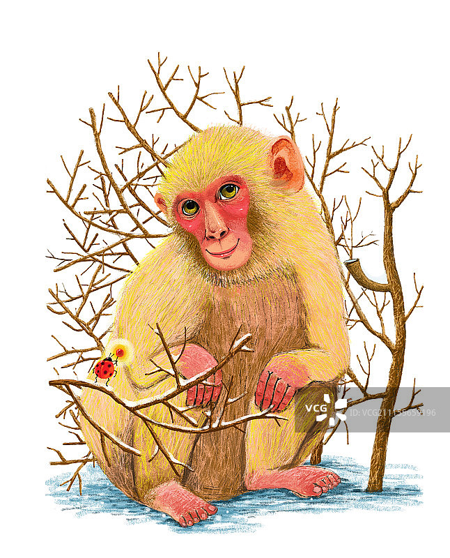 动物插画系列作品共3000幅-金丝猴图片素材
