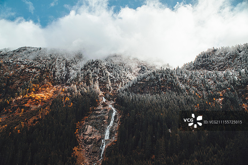 山腰森林和瀑布图片素材