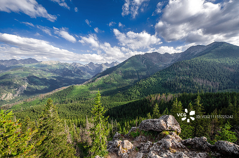 覆盖着松树林的山脉上空的云彩图片素材