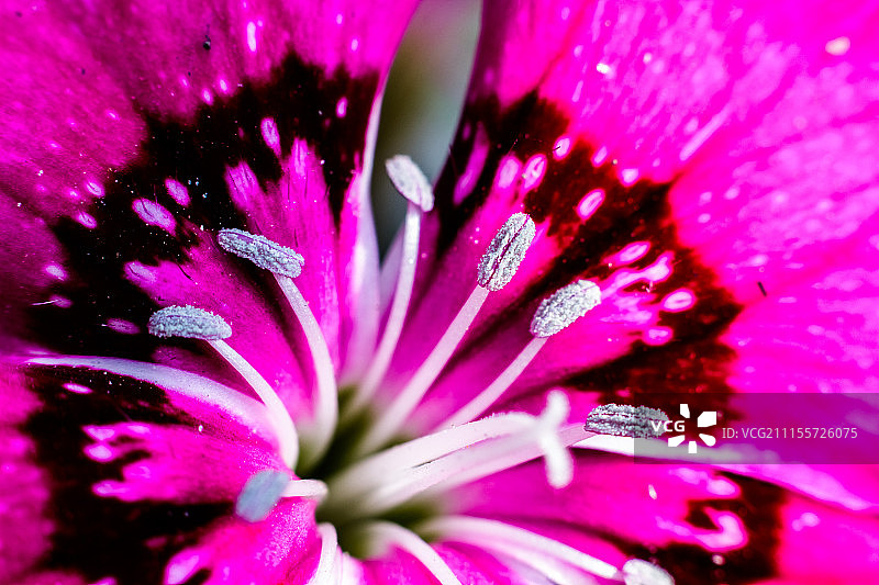 布巴内斯瓦尔，印度图片素材