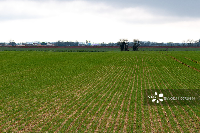 田野 #1图片素材