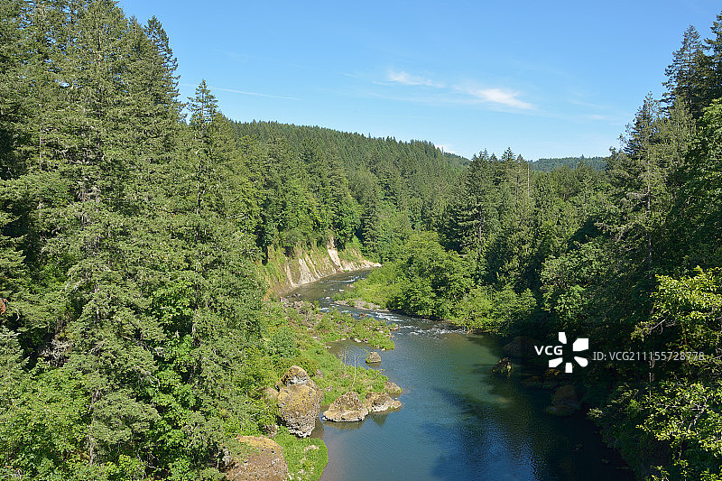 森林河流景色图片素材