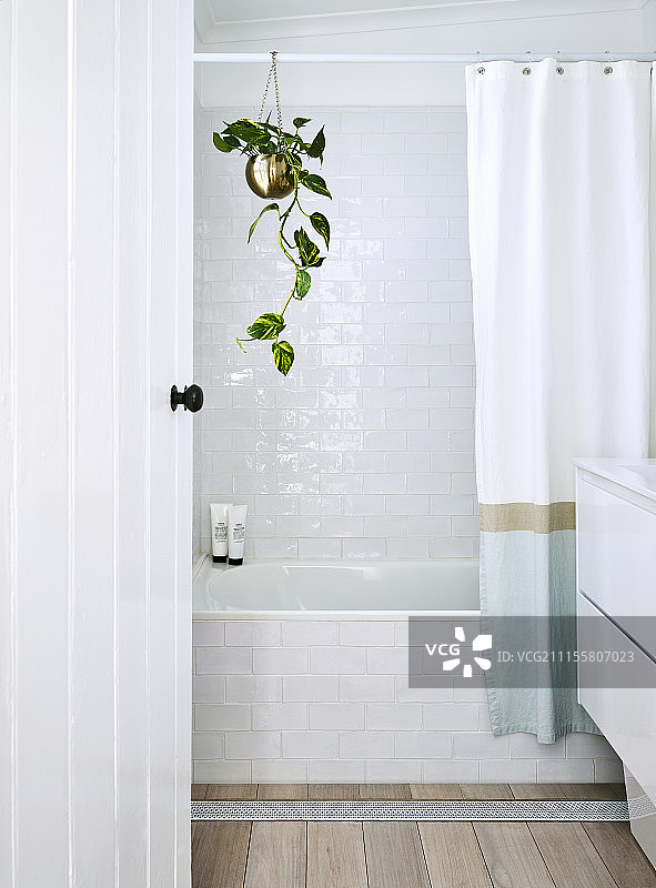 明亮浴室中悬挂的植物图片素材