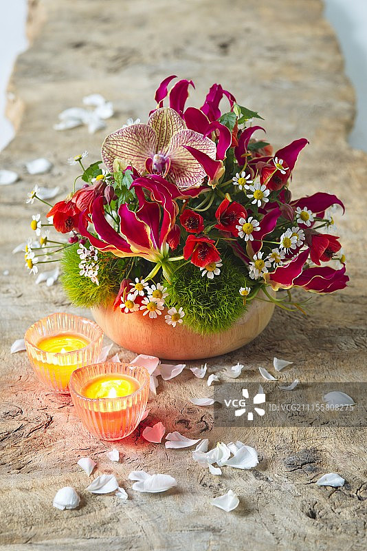 火焰百合、兰花和锦葵的红色插花图片素材