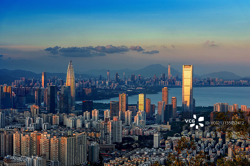 金色阳光照耀深圳湾畔图片素材