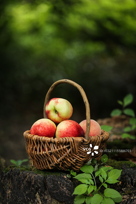 新鲜桃子图片素材