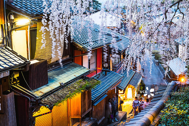 京都传统街道樱花垂樱图片素材
