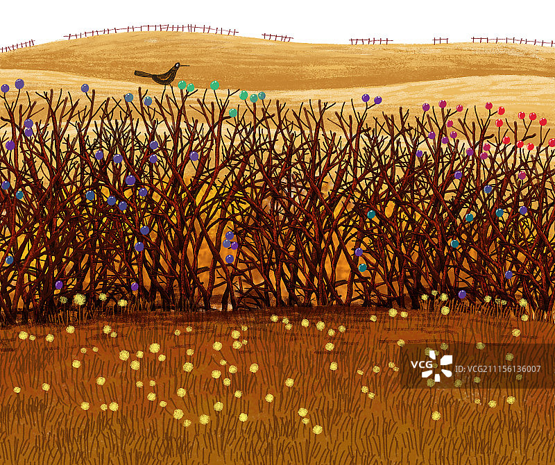 唯美背景元素组图共3000多幅-站在灌木上的鸟图片素材