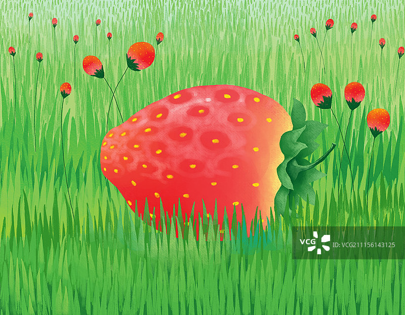 唯美背景元素组图共3000多幅-巨大的草莓图片素材