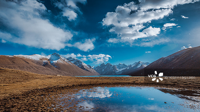 年宝玉则图片素材