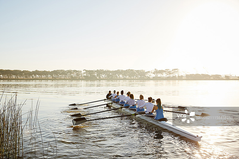 女子赛艇队在阳光明媚的湖上划船图片素材