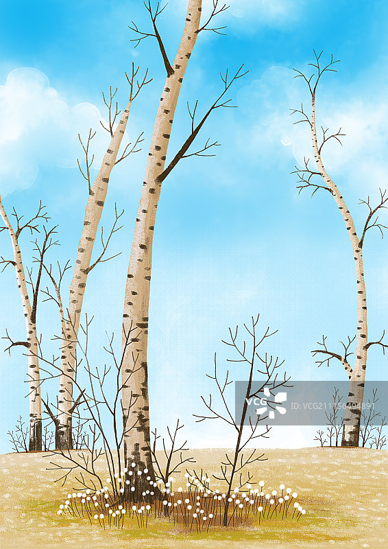 唯美背景元素组图共3000多幅-白桦林图片素材