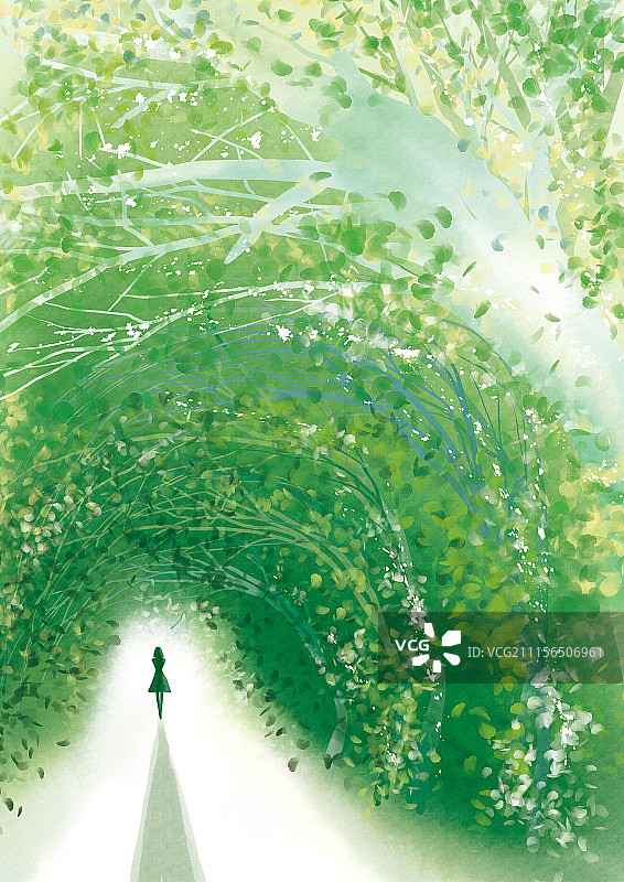 绿色森林图片素材