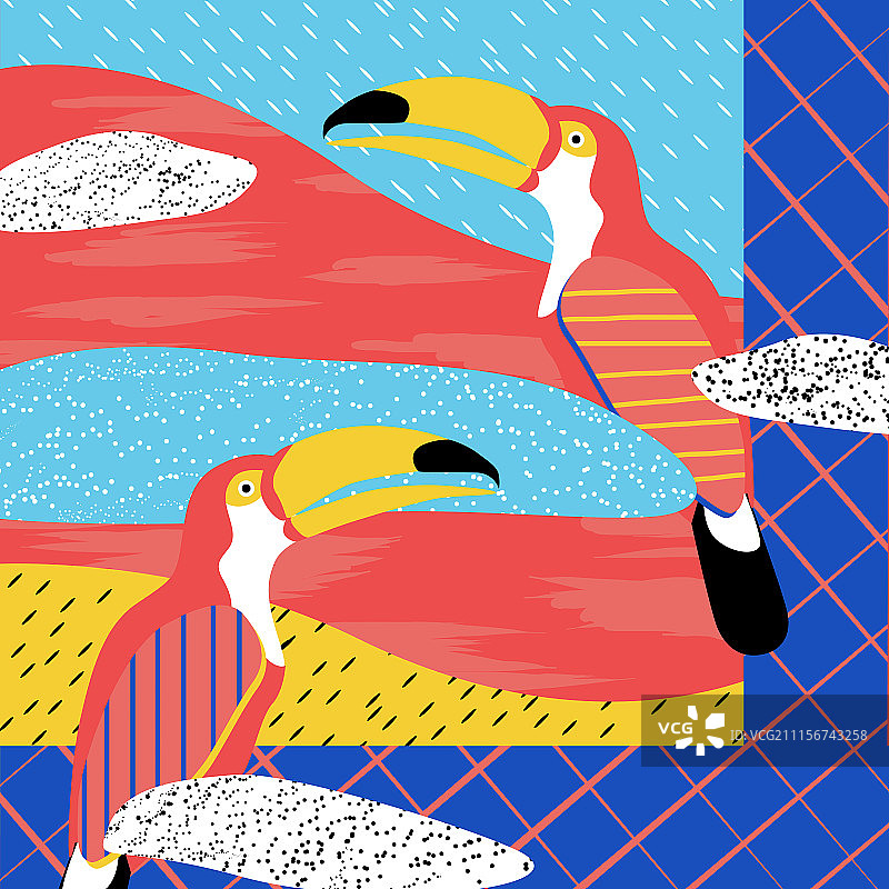 热带的鸟图片素材