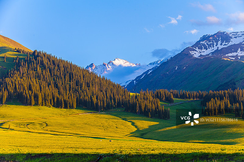 大美新疆草原图片素材