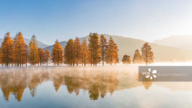 奇墅湖秋色图片素材